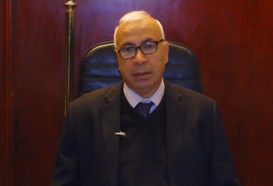 埃及中东通讯社(MENA)董事会主席兼总编辑阿里·哈桑
