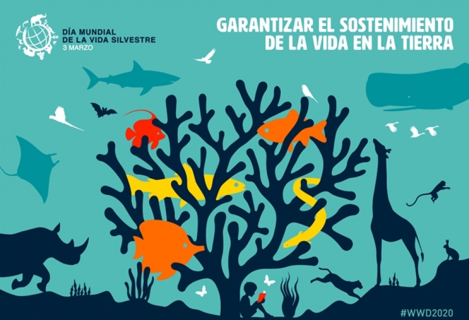 Día Mundial de la Vida Silvestre
