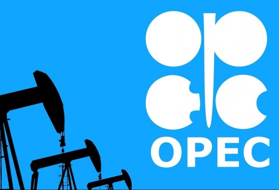 Azərbaycanın Energetika naziri “OPEC plus” nazirlərinin 8-ci iclasında iştirak edəcək