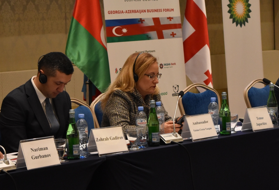 Səfir: Azərbaycan, Türkiyə və Gürcüstan iş adamlarının üçtərəfli əməkdaşlığı bizə daha böyük fayda gətirə bilər