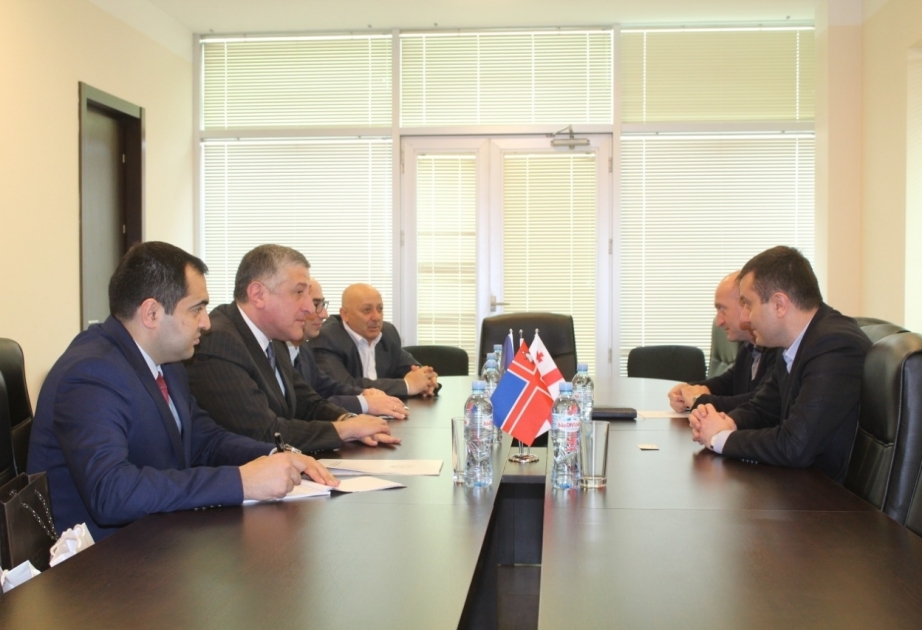Les perspectives de développement des liens entre l’Azerbaïdjan et les régions géorgiennes