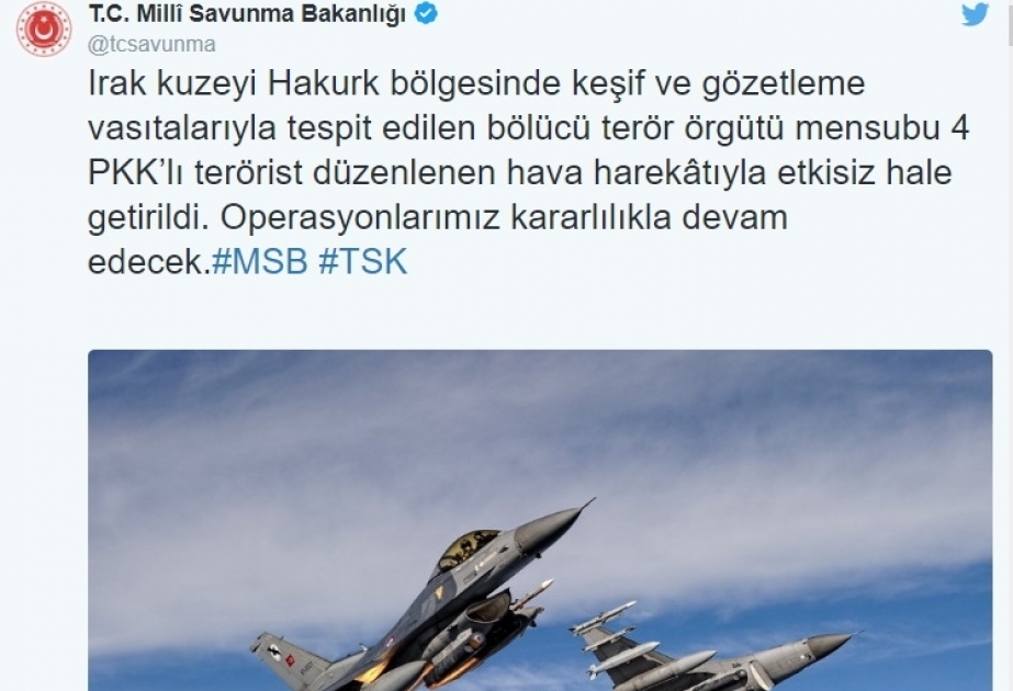 Turkey 'neutralizes' 4 PKK terrorists in northern Iraq