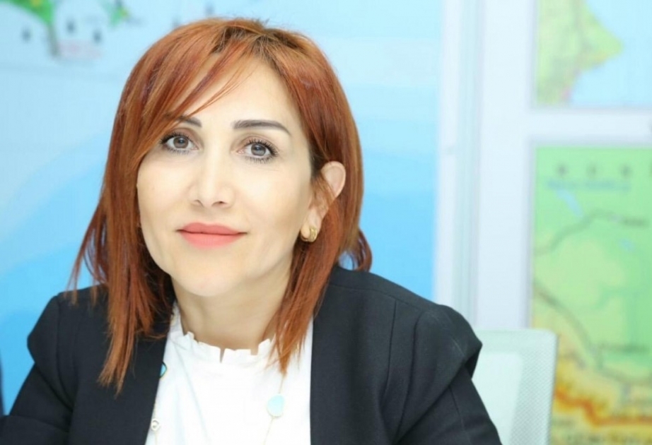 Ирада Ибрагимова: Пожары в Губе произошли не на лесных участках, а на частных землях