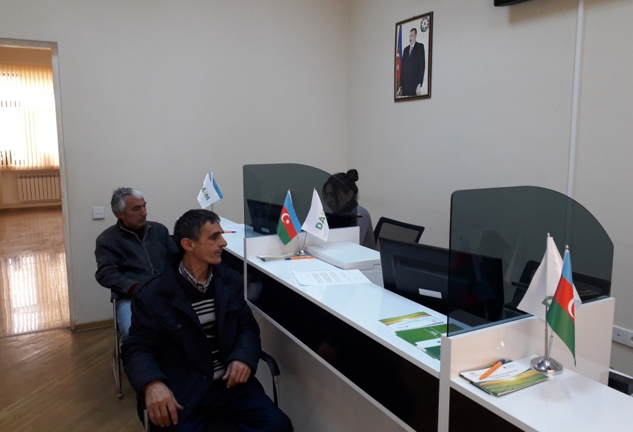 Qax rayonu üzrə bu günədək 7 mindən çox fermer elektron sistemdə qeydiyyatdan keçib