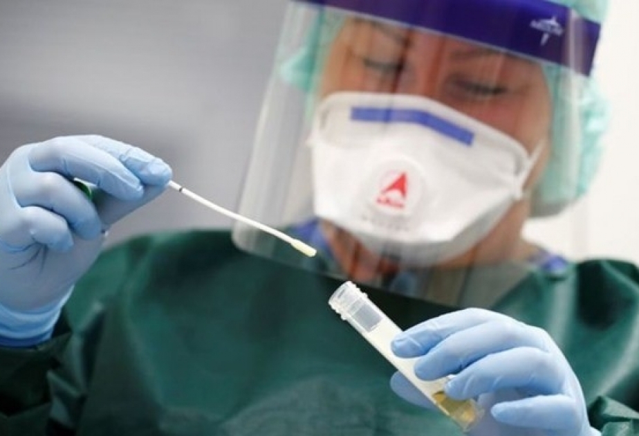 Misirdə daha 13 nəfərdə koronavirus aşkarlanıb