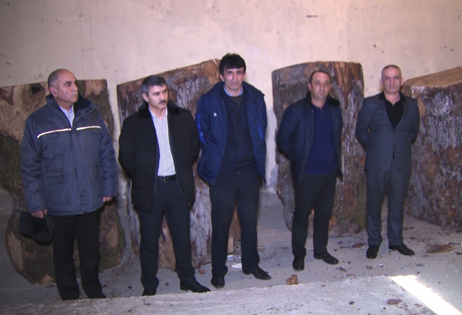 DİN: Oğuz və Qəbələ meşələrində ağacları kəsib satan mütəşəkkil dəstə ifşa olunub VİDEO