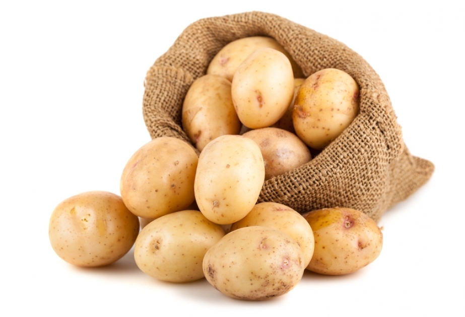 Лечебные свойства картофеля
