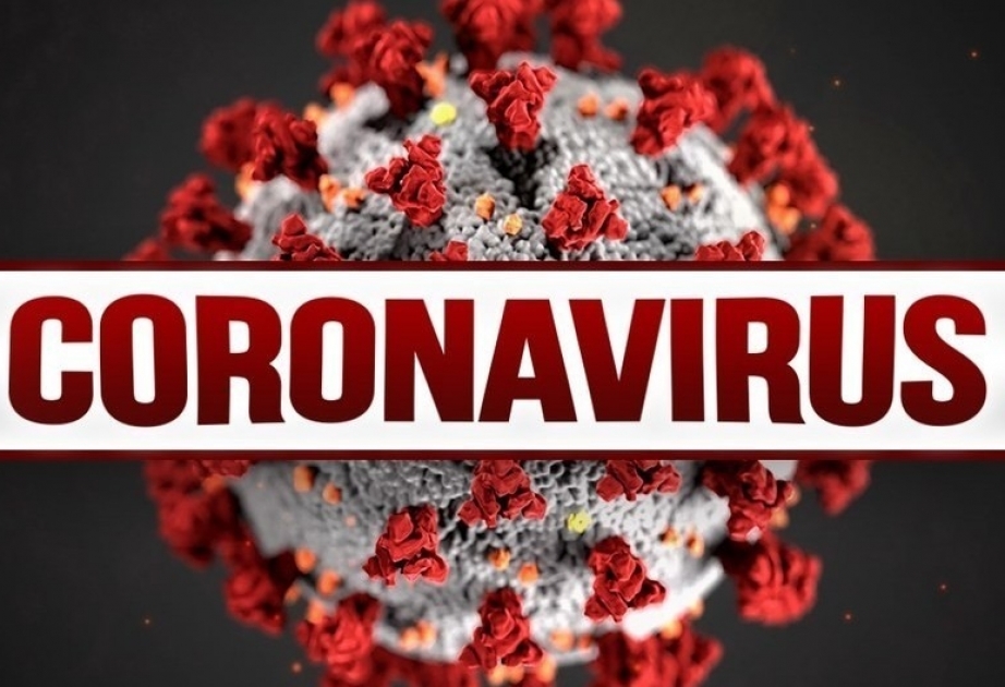 Dövlət Vergi Xidməti koronavirusla bağlı sosial çarxlar hazırlayıb