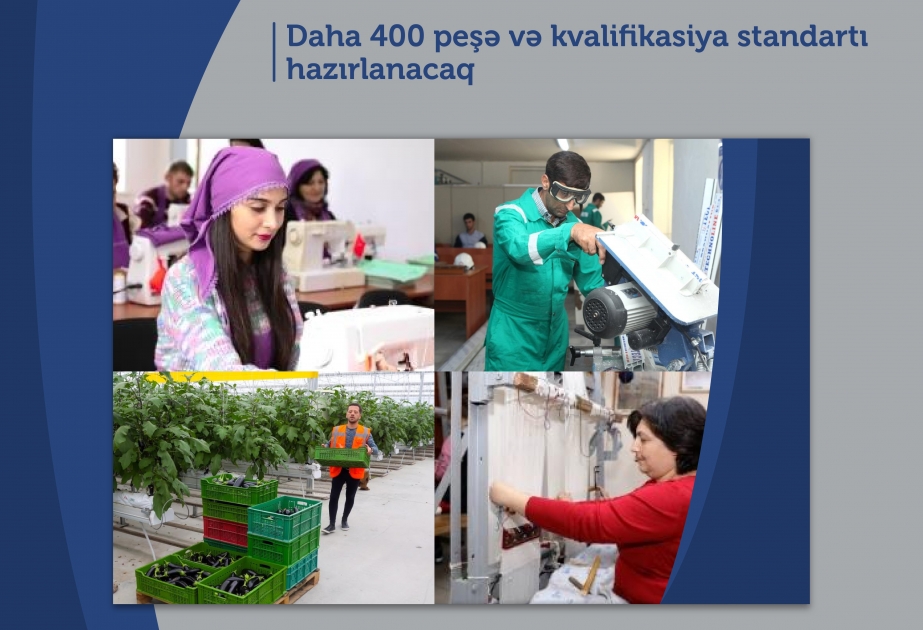 Daha 400 peşə və kvalifikasiya standartı hazırlanacaq
