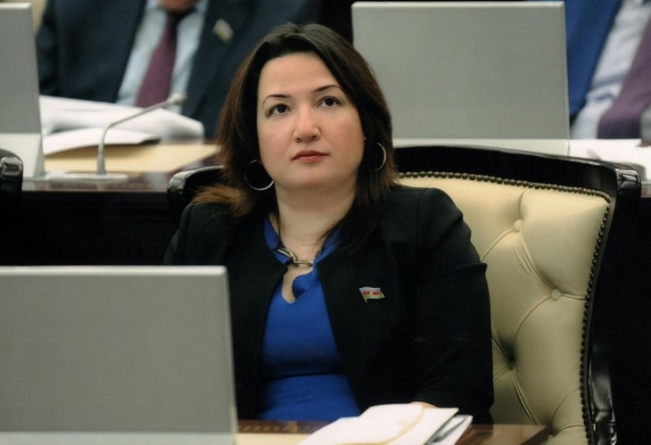 Deputat: Azərbaycan qlobal pandemiyaya qarşı çevik addımlar atan ölkələrdəndir