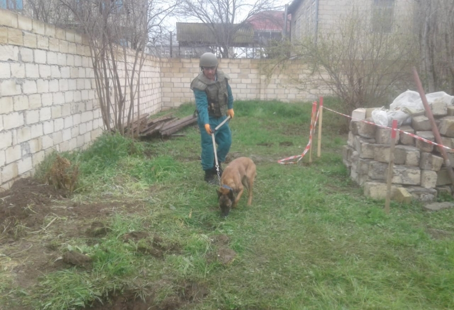 Beyləqanda həyətyanı sahədən mərmi tapılması barədə məlumat təsdiqini tapmayıb