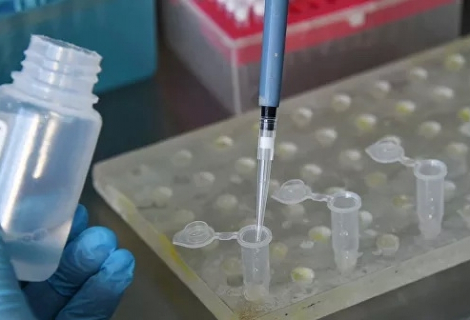 Qırğızıstanda daha üç nəfərdə koronavirus aşkar olunub