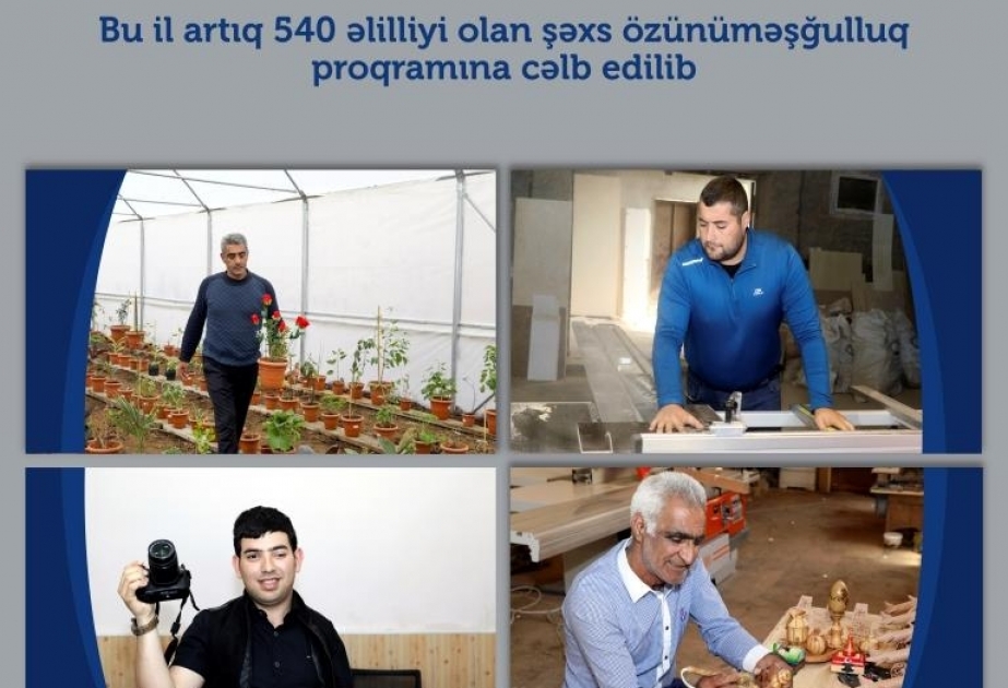 Bu il 540 əlilliyi olan şəxs özünüməşğulluq proqramına cəlb edilib