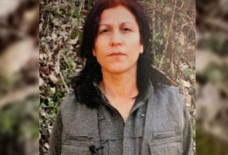 PKK terror təşkilatının qadın bölməsinin rəhbəri məhv edilib