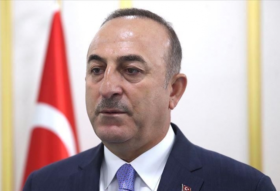 Daha bir qrup türkiyəli tələbə vətənə gətiriləcək