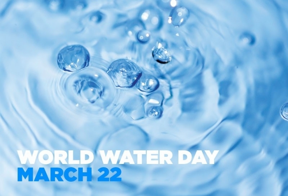 Cada año, el día 22 de marzo se celebra el Día Mundial del Agua por resolución de la ONU