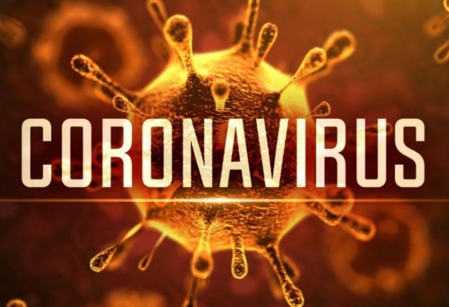Türkiyədə koronavirus və terror təbliğatına görə təxribat edənlərə qarşı hüquqi tədbirlər görülür