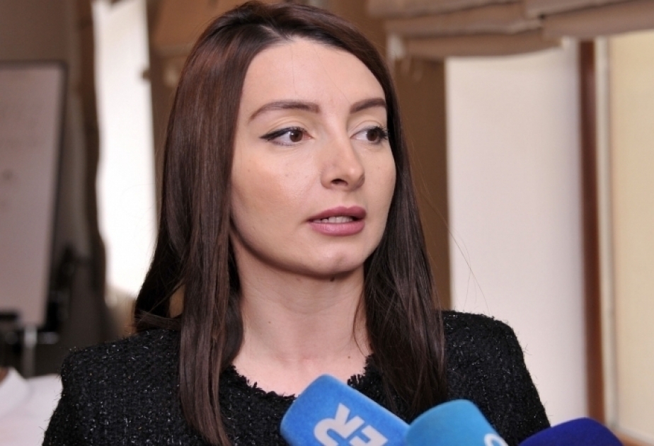 Лейла Абдуллаева: Азербайджанское государство мобилизовало все возможности для обеспечения безопасности граждан