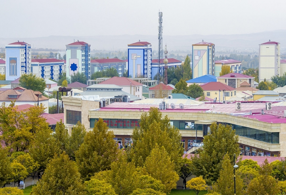 Naxçıvanda koronavirusla mübarizə üçün bir gündə 1 milyon manata yaxın vəsait toplanıb