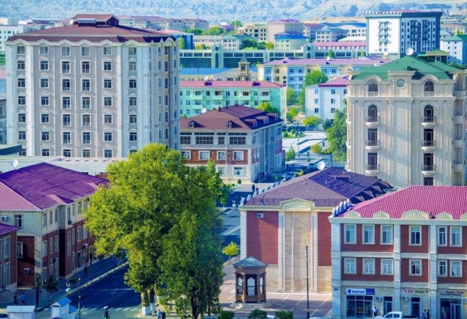 Naxçıvanda bir gündə koronavirusla mübarizə üçün 800 min manat vəsait toplanıb
