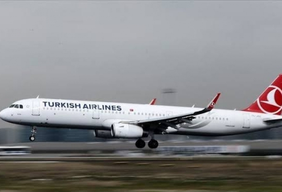 Turkish Airlines suspends flights to New York