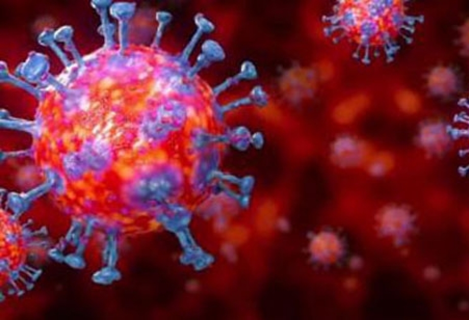 Son 24 saat ərzində Türkiyədə koronavirusdan daha 23 nəfər ölüb