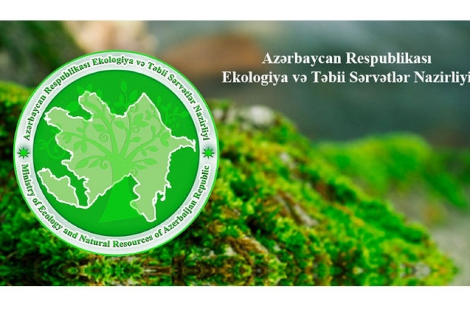 Lənkəranda ağac kəsən şəxs cəzalandırılıb