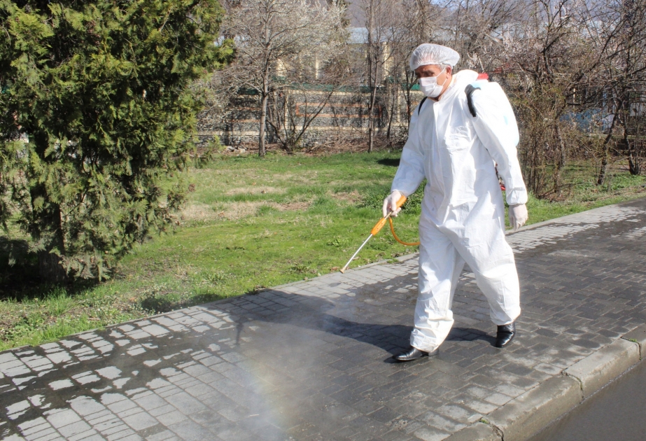 Karantin rejiminin tələblərinin icrasına nəzarət məqsədilə Qəbələdə 68 mobil qrup yaradılıb