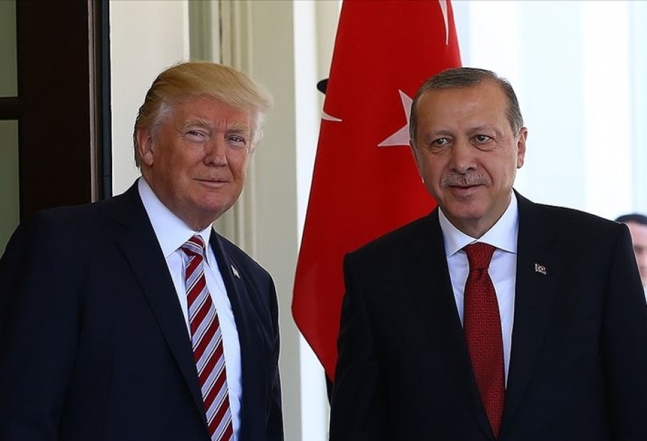Turkish, US presidents agree on efforts to combat virus