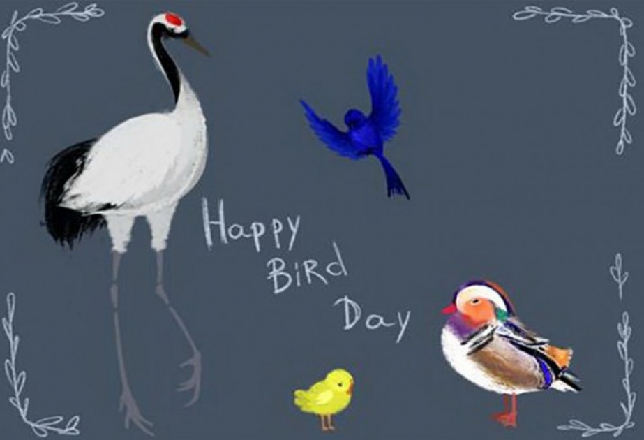 Сегодня Международный день птиц