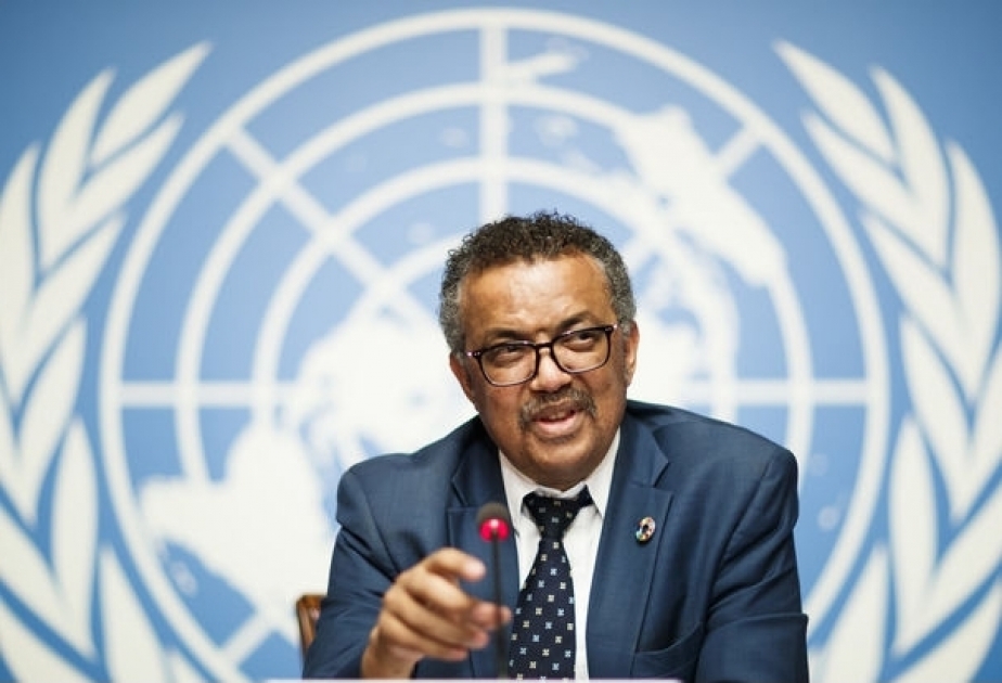 WHO Director-General hails Azerbaijani President's policy to limit impact and scale of COVID-19