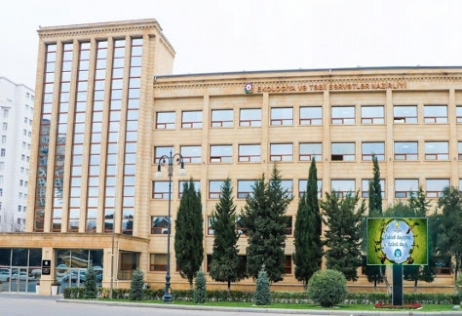 Ağac kəsən şəxs cəzalandırılıb