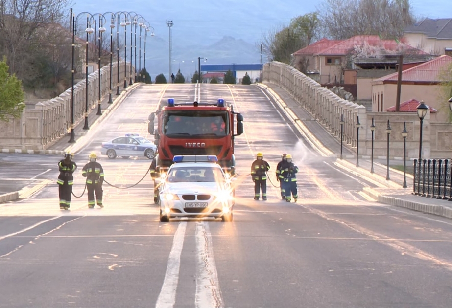 Naxçıvanda yoluxucu xəstəliklərə qarşı dezinfeksiya işləri görülür