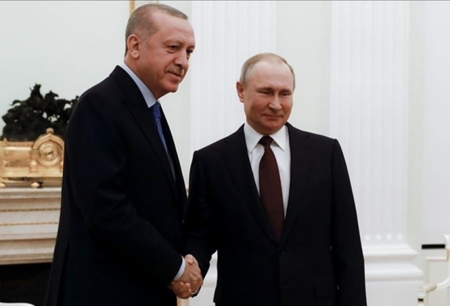 俄罗斯与土耳其两国总统讨论抗击新冠疫情的措施