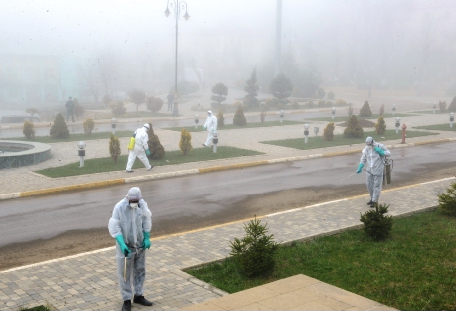 Lerikdə koronavirus infeksiyası ilə bağlı maarifləndirmə və dezinfeksiya işləri gücləndirilib