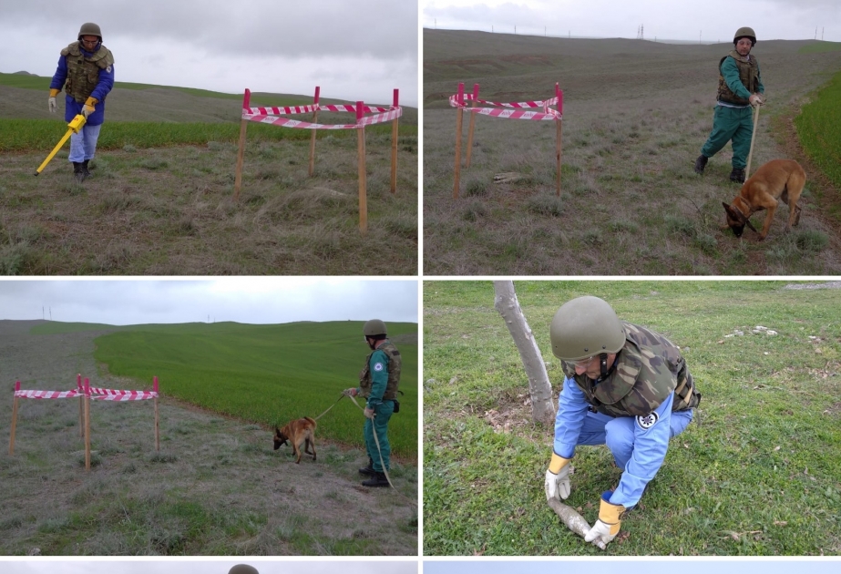 Füzulidə 4 ədəd PQ-7S raketi aşkarlanıb
