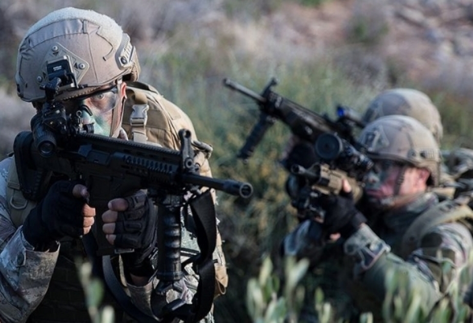 Türkiyə Silahlı Qüvvələri tərəfindən son bir ayda 80 terrorçu zərərsizləşdirilib