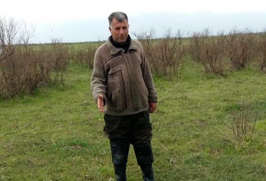 Qızılağac Milli Parkının ərazisində icazəsiz quş ovlayan şəxs saxlanılıb