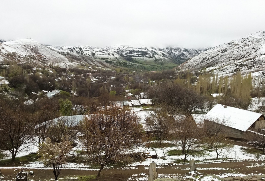 Naxçıvanın bəzi dağlıq ərazilərinə qar yağır