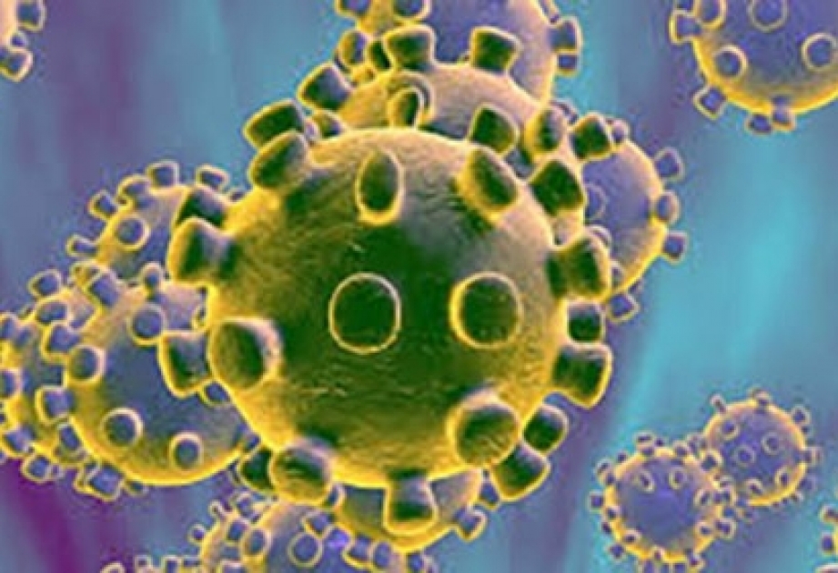 Венгерские ученые выделили больше штаммов коронавируса
