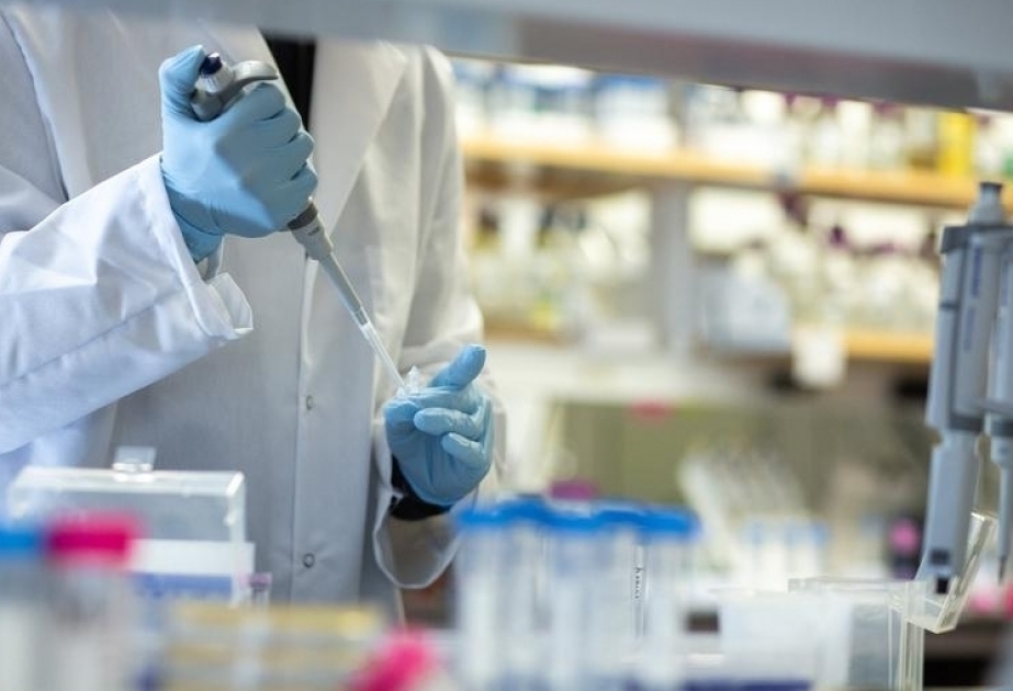 Azerbaiyán se encuentra entre los líderes mundiales en cuanto al número de pruebas de infección por coronavirus