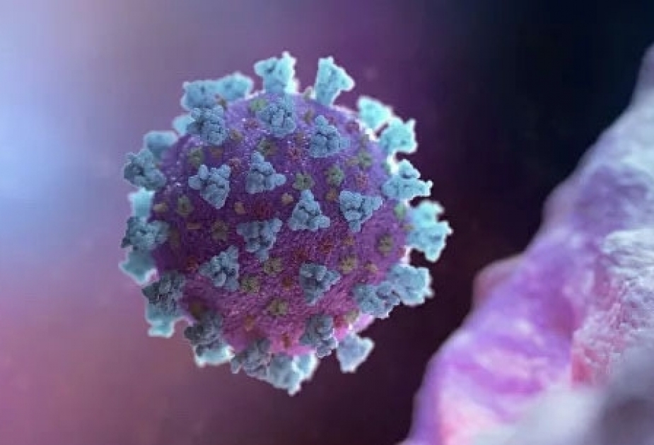 Koronavirus infeksiyalarını bloklayan süni virus yaradılıb