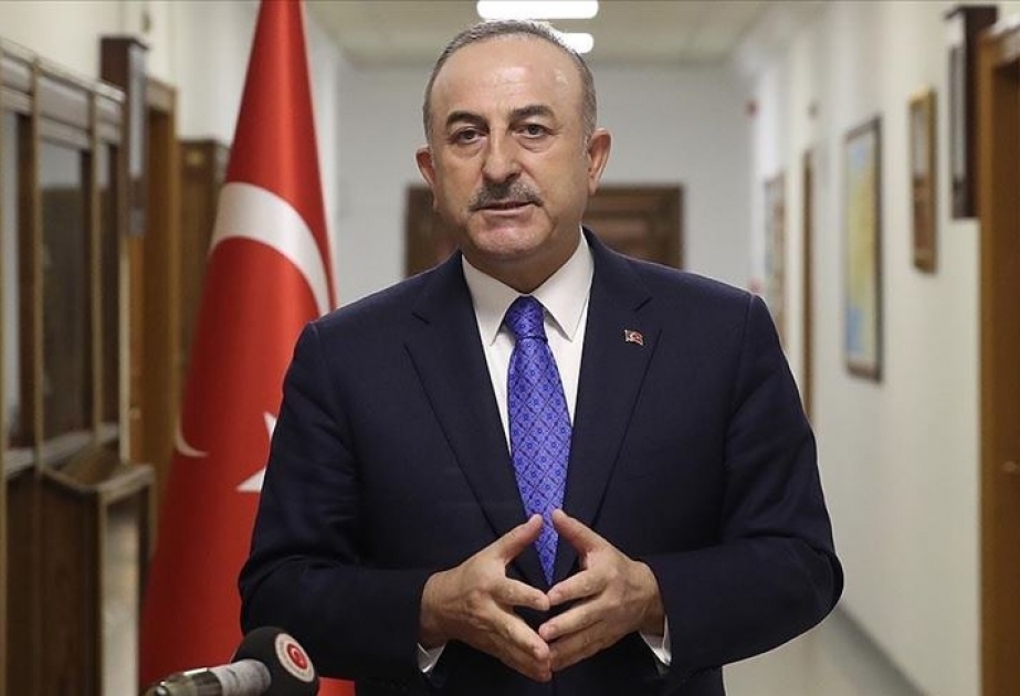 Türkiyə koronavirusla mübarizədə Bosniya və Herseqovinaya yardım edəcək