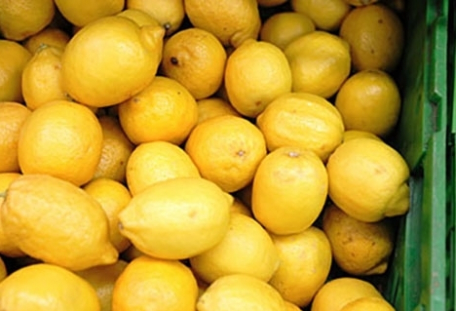 Aserbaidschan exportiert Zitronen am meisten nach Russland
