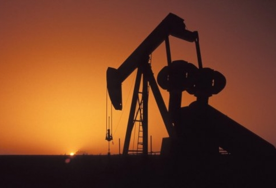 Rusiya neft hasilatını 14 faiz azaltmağa razıdır