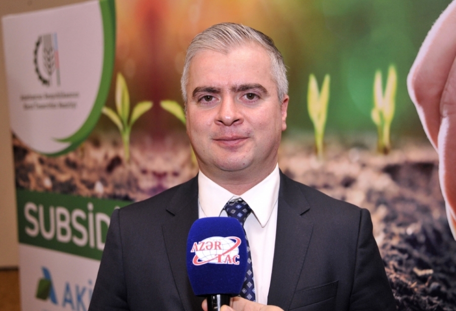 Aqrar sahədə təminatsız verilən mikrokreditlərin maksimal məbləği və müddəti artırıldı