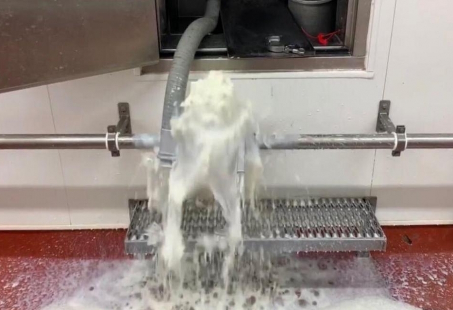 Американские фермеры сливают молоко в канализацию из-за снижения спроса