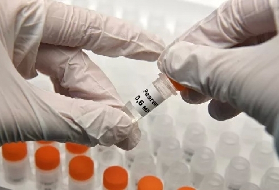 Number of coronavirus cases in Uzbekistan reached 694