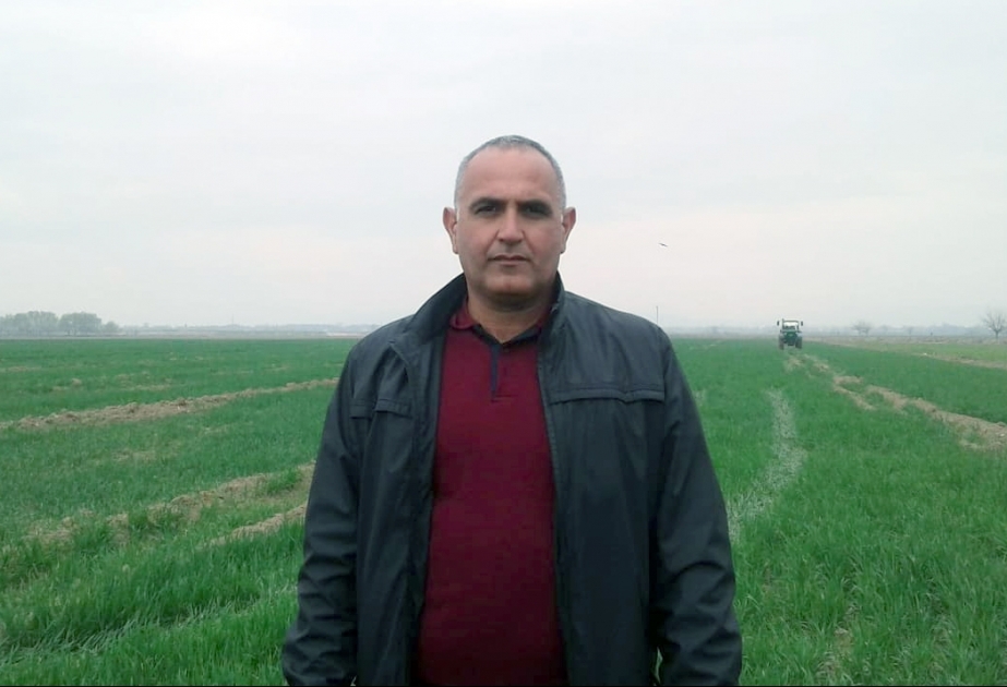Ağdamlı fermer taxılçılıq, pambıqçılıq və baramaçılıqda yüksək göstəricilərə nail olur