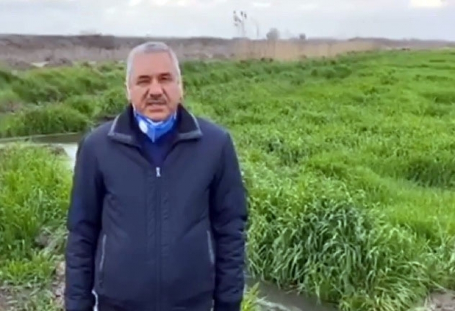 “Biz fermerlərin əsas vəzifəsi əhalinin qidaya olan tələbatını ödəməkdir” - bərdəli fermer